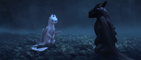 Got To Go Dragons GIF by How To Train Your Dragon