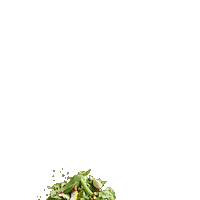 Plant Based Tech Sticker by the notco