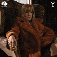 Paramount Network No GIF by Yellowstone