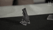 history channel pilgrimage GIF by HISTORY UK