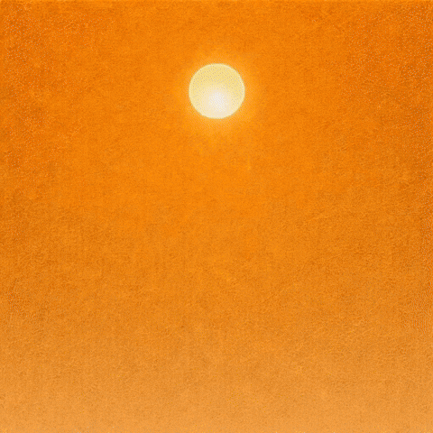 World Billions GIF by WeQuorum