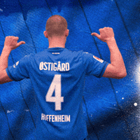 Sport Bundesliga GIF by TSG Hoffenheim