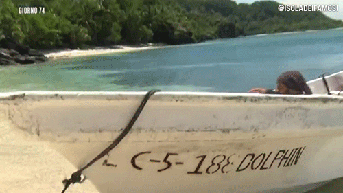 surprise isola13 GIF by Isola dei Famosi