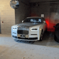 Lifestyle Flexing GIF
