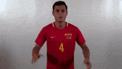 Wheeling University GIF by WU Cardinals