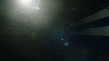 Michael Pittman Football GIF by Indianapolis Colts