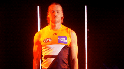 celebration GIF by GIANTS