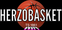 Happy Sport GIF by Herzobasket