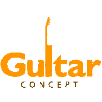GuitarConcept guitar concept Sticker