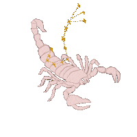 Magic Friend Sticker