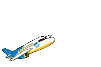 flybeaches travel vacation florida plane Sticker