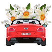 Car Flowers Sticker