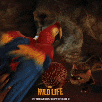 time flies fun GIF by Lionsgate