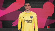 Usa Goalkeeper GIF by Bundesliga
