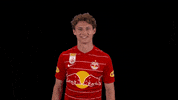 Celebration Goal GIF by FC Red Bull Salzburg
