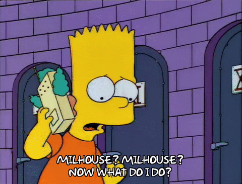 homer simpson episode 25 GIF