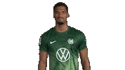Happy Germany Sticker by VfL Wolfsburg