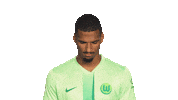 Look Up Vfl Wolfsburg Sticker by Bundesliga