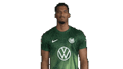 Happy Germany Sticker by VfL Wolfsburg