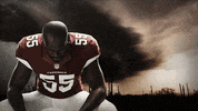 GIF by azcardinals