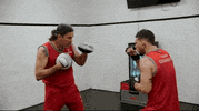 Episode 11 Mma GIF by UFC