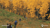 great outdoors fall GIF by Visit The USA