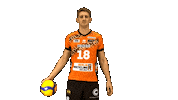 Volleyball Berlin Sticker by BR Volleys