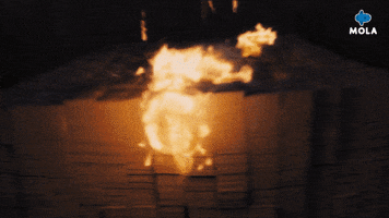 Now You See Me Burn GIF by MolaTV
