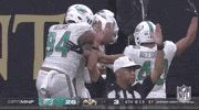 Miami Dolphins Football GIF by NFL
