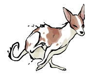 Cat Dog Sticker
