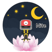 cognextaiwan night goodnight nite 晚安 Sticker
