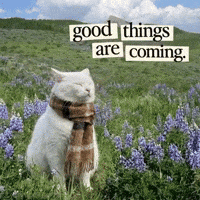 Happy Good Vibes GIF