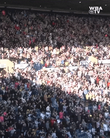 West Brom Wba GIF by West Bromwich Albion