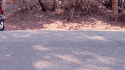 Nyc Canada GIF by FREEMOTION
