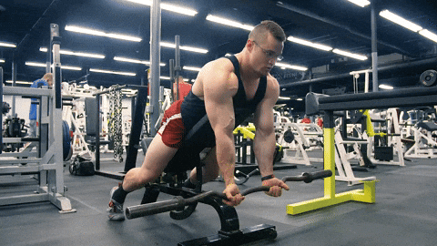BamBamDoubleBB giphyupload ez bar spider curls GIF