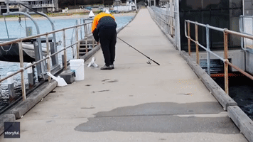 Woman Helps Free Distressed Seagull Caught on Fishing Hook
