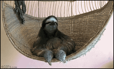 Sloth Deal With It GIF
