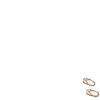 Flip Flop Summer Sticker