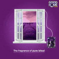 GoodHomeTTK  GIF