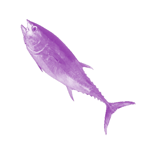 Sf Sticker by SirFish