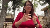 Happy Roller Coaster GIF