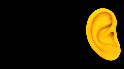 govoribob giphyupload bob ear lepo GIF