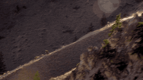 unreal GIF by EchoBoom Sports