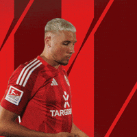 Excited Lets Go GIF by Fortuna Düsseldorf