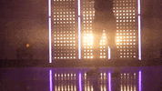 Washington Huskies Softball GIF by NCAA Championships