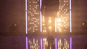 Washington Huskies Softball GIF by NCAA Championships