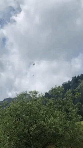 Injured Cow Airlifted to Safety in Austrian Alps