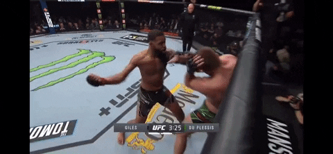 stevenr5376  GIF
