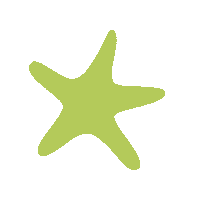 Star Sticker by FISCHER