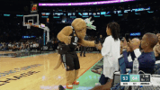 wnba new york liberty GIF